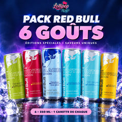 Pack Red Bull 6 goûts – Éditions à découvrir (6 × 250 ml)